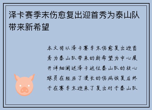 泽卡赛季末伤愈复出迎首秀为泰山队带来新希望 泽卡赛季末伤愈复出迎首秀为泰山队带来新希望